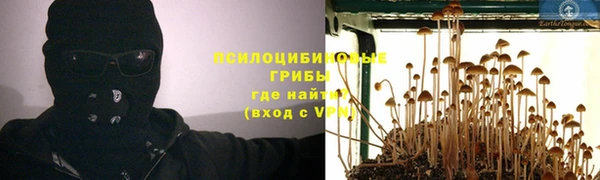 2c-b Вязники