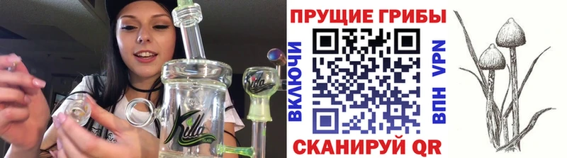Купить  Боровск  Псилоцибиновые грибы прущие грибы 